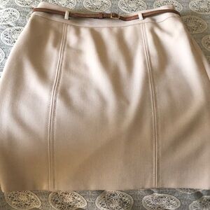 Ann Taylor Loft skirt